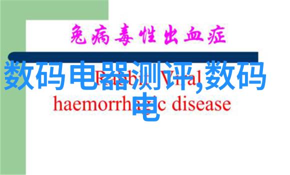 垃圾焚烧炉生产厂家技术与环境可持续性探究以清洁能源替代传统燃料的战略转型路径