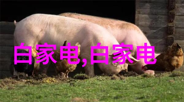 高压蒸汽灭菌锅的分类与选择指南