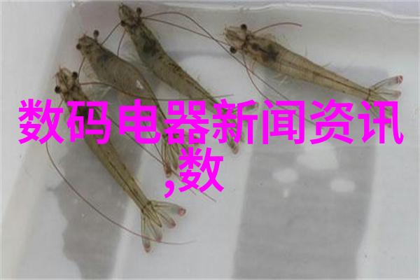 财经郎眼洞察市场风向的慧眼