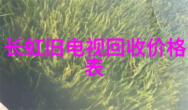 实验室烘干箱精确温度控制的生命科学伙伴