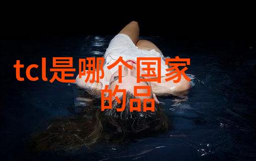 镜头下的诗篇唯美人像摄影作品的审美与艺术价值探究
