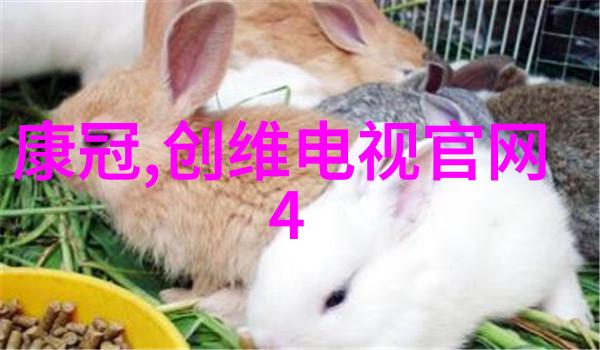 解锁海尔冰箱智能温度控制的全过程图解指南