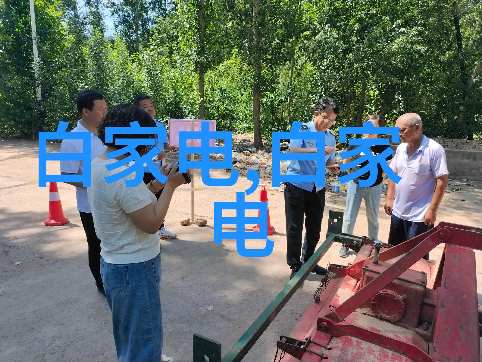 纨绔世子妃的奢华生活古风宫廷浪漫