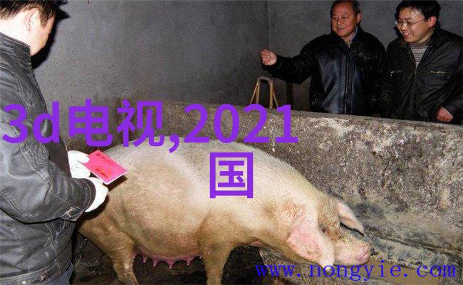 机器学习与人工智能它们之间的区别在哪里