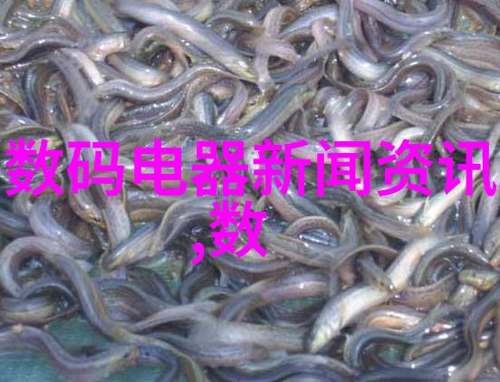 香气缭绕小豆蔻小说全文阅读之旅