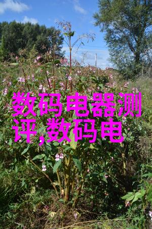 华为2022从手机巨头到智能家电新宠转身变的速度让全球瞩目