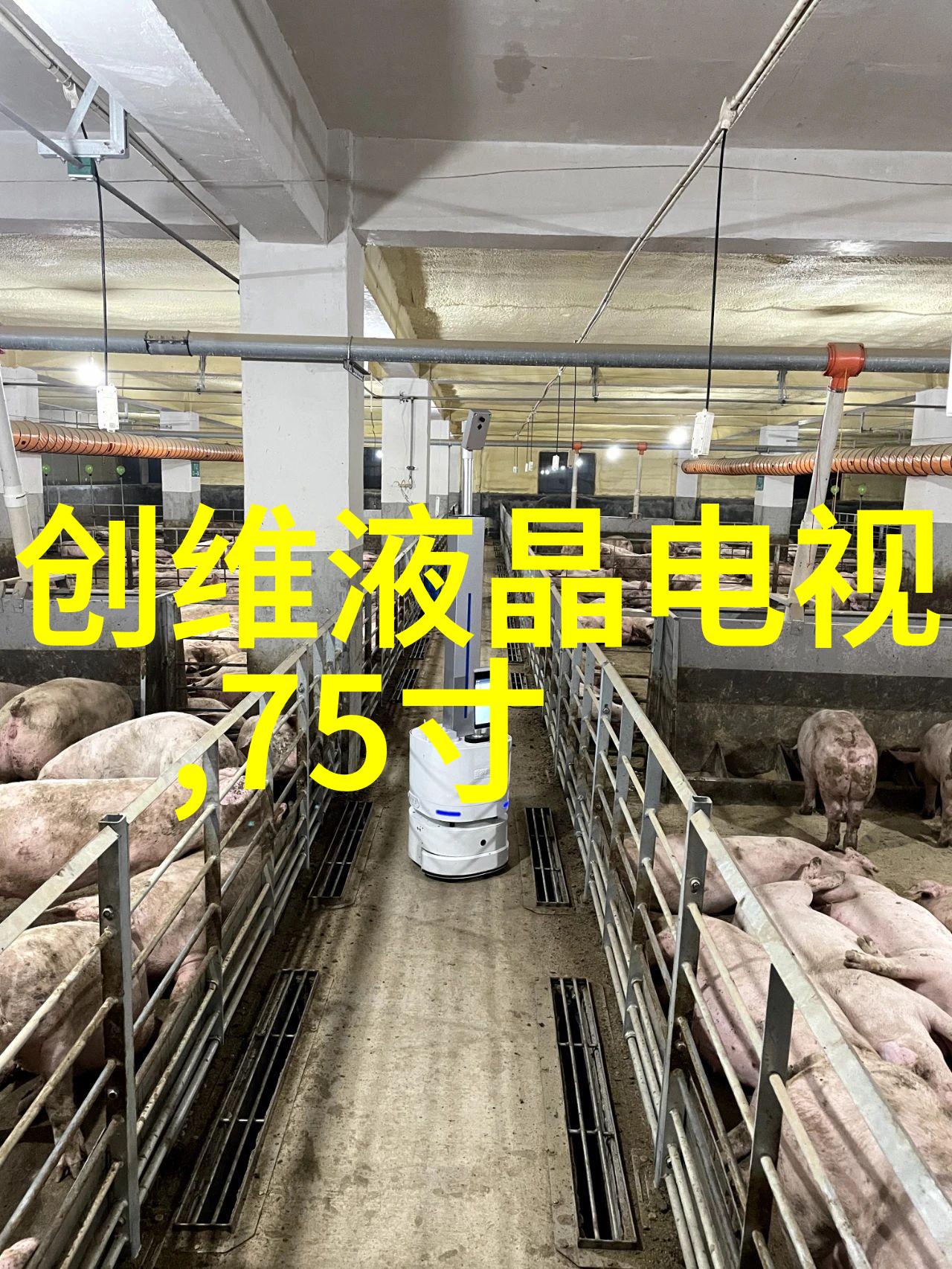 为什么说防腐处理对使用寿命长的重要性在于其防护效果