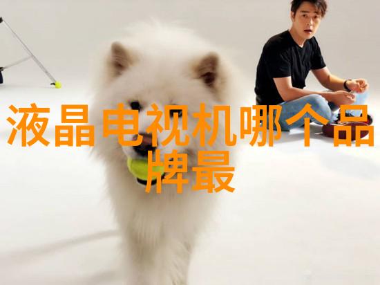 情怀变文艺文青版坚果是罗永浩的老把戏