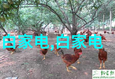 在使用不锈steel 化工reaction tank 过程中我们需要注意哪些安全规范
