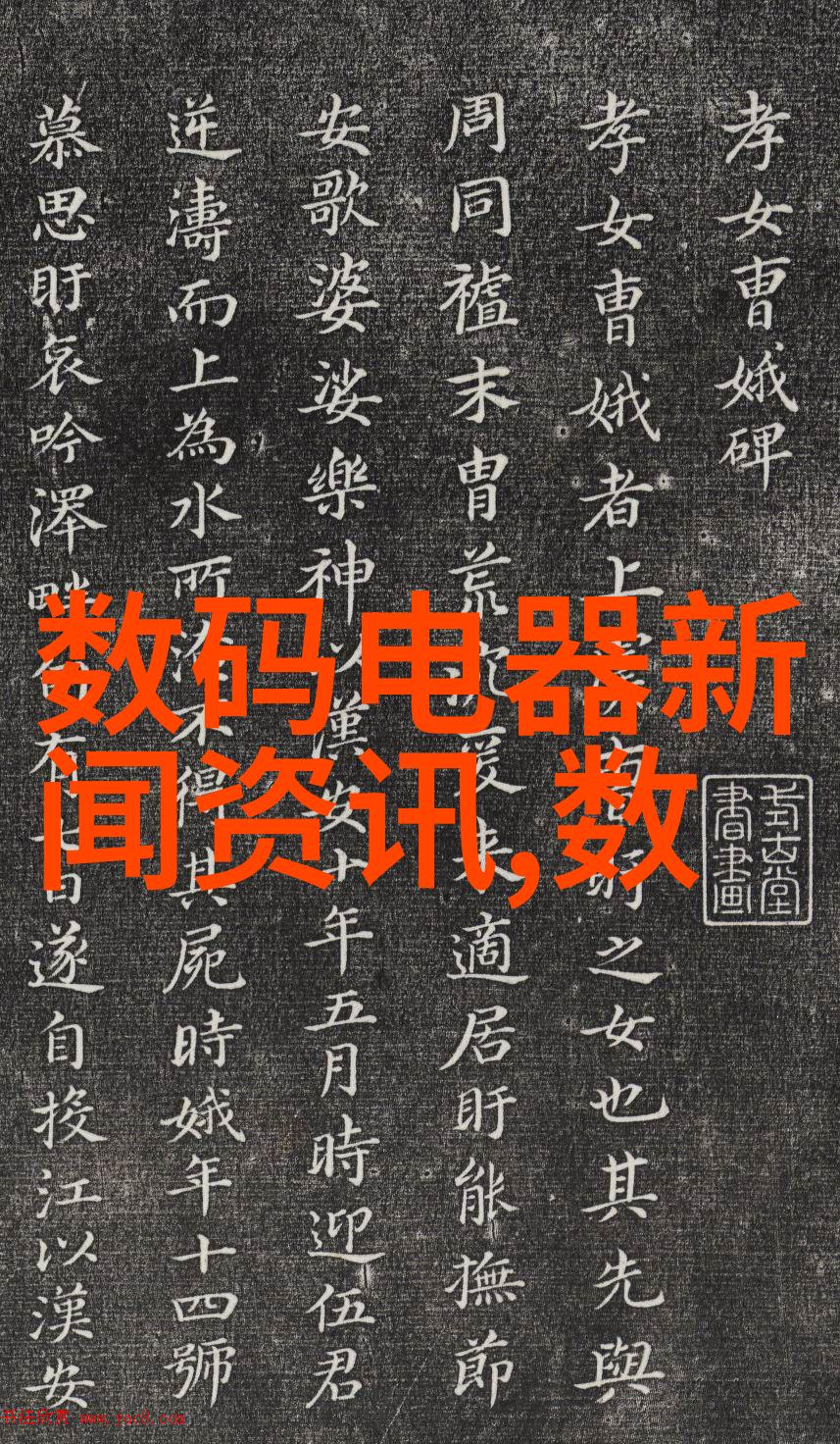 药品生产中的关键设备丸剂机械的重要性与应用