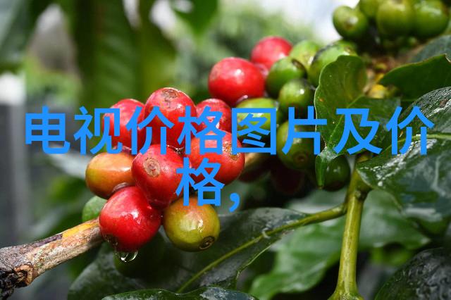 全屋定制装修成本分析平方米价格的多种影响因素与预算指导原则
