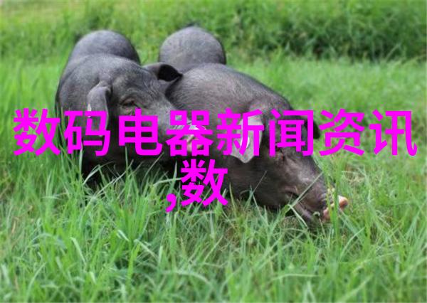 PE管100级国标壁厚标准解读与应用实例