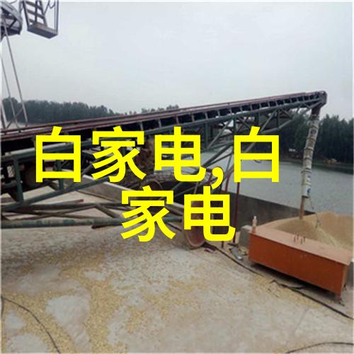 古老的守护者尘封的秘密与骨架中的故事