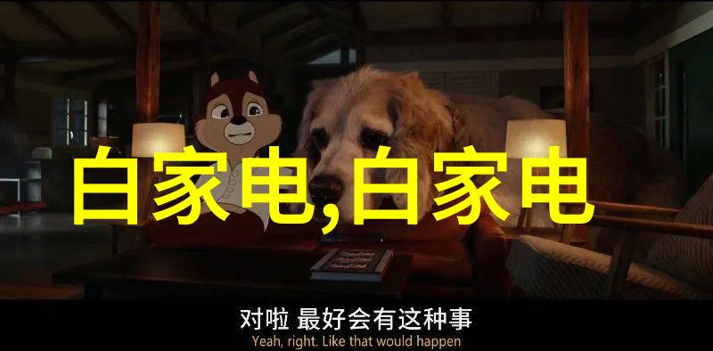 输送带-高效物流传输如何选择和维护适合你企业的输送带系统