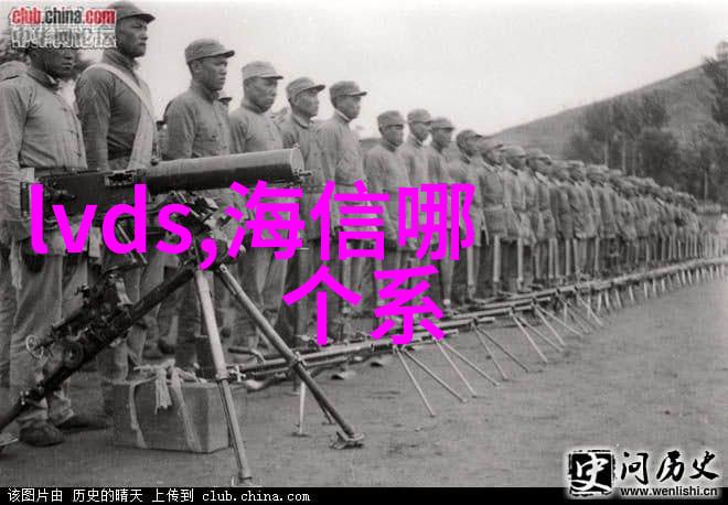 山东新华高压蒸汽灭菌器-超声波清洁技术与食品安全的新篇章