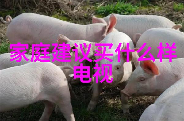 面对环境压力工业pure water edi系统能否提供可持续解决方案