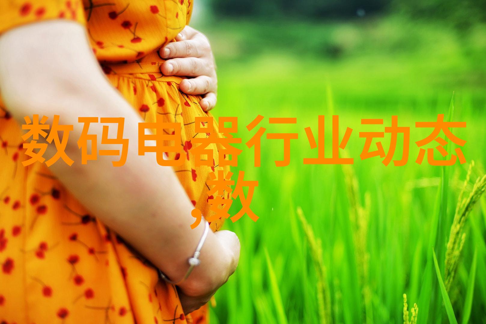 环境友好型反应器内建模技术进展概述
