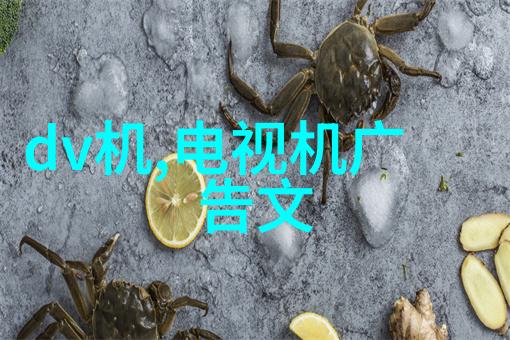 室内艺术梦想之屋的绘图征程