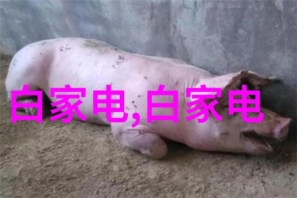 水质检测标准与纯净水的正常范围解析