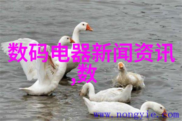 实验室选矿设备我在家做小型矿物加工怎么样