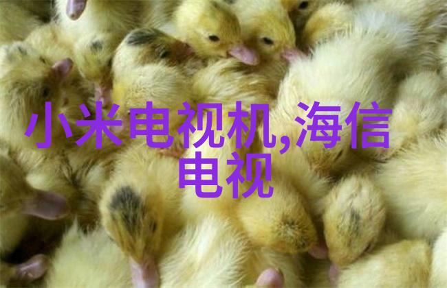 自制不锈钢工艺品图片手工制作的不锈钢艺术品照片
