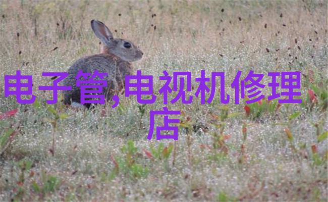 金属之美不锈钢的多样面貌与应用