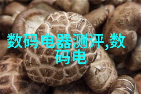 等离子灭菌器 - 高效杀菌的科学之光深入探究等离子灭菌器的工作原理与应用