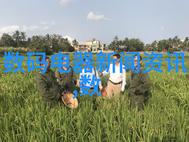 高效砂石破碎设备操作指南