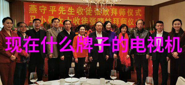 精密计量的钢铁巨轮化工流量仪器的隐秘双重生活