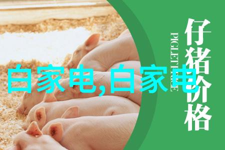 数控之谜千万不要被它的诱惑所迷惑