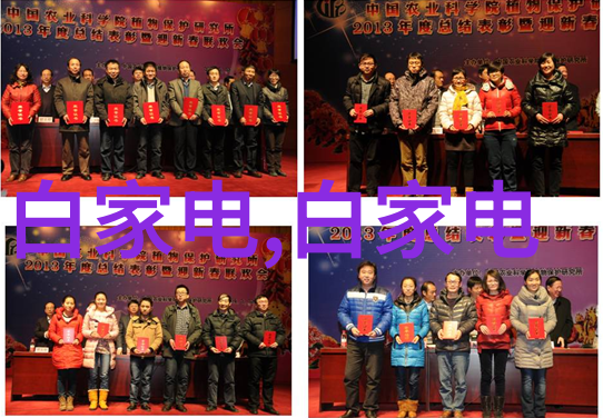 丝网填料和陶瓷填料区别-细腻纹理与坚韧质地的对比分析