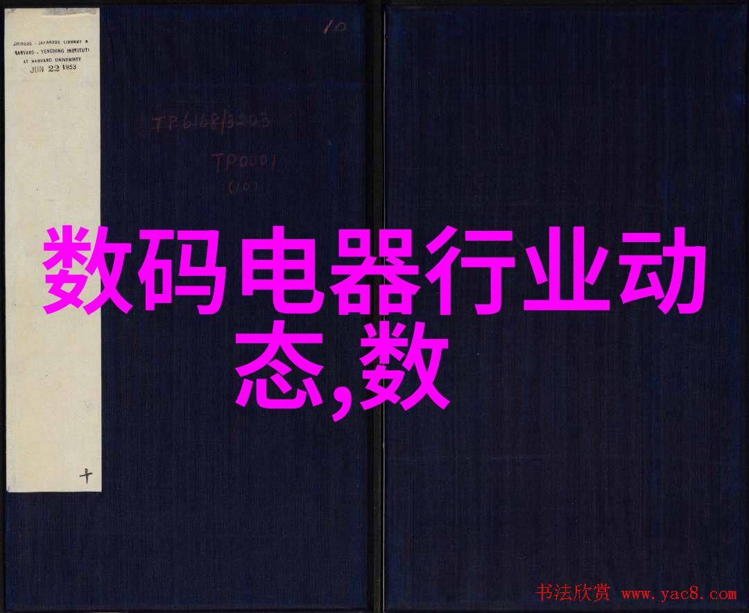 适马FP相机2.03版本升级固件蜂鸟经典人像摄影在社会场景中的应用