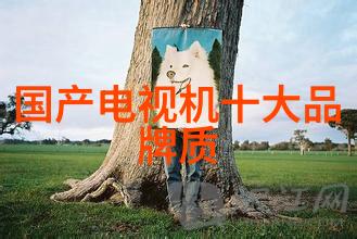 怎么判断压缩机坏了我的压缩机突然不工作了怎么办