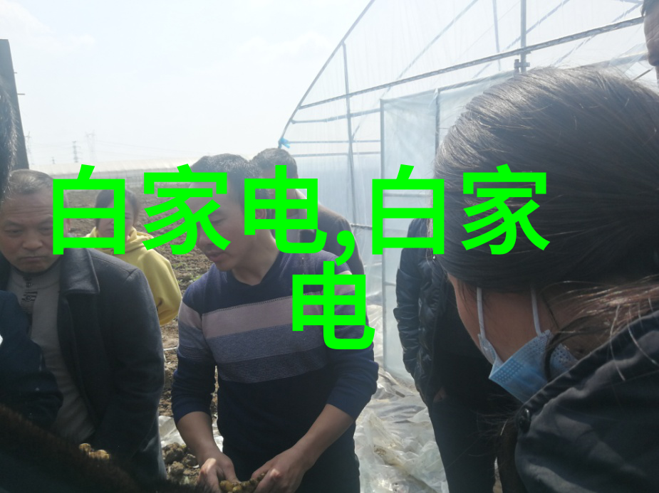 家庭作坊里的夹心饼干制作探索传统与创意的融合