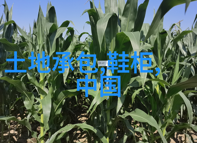 未来汽车配件行业发展趋势是什么