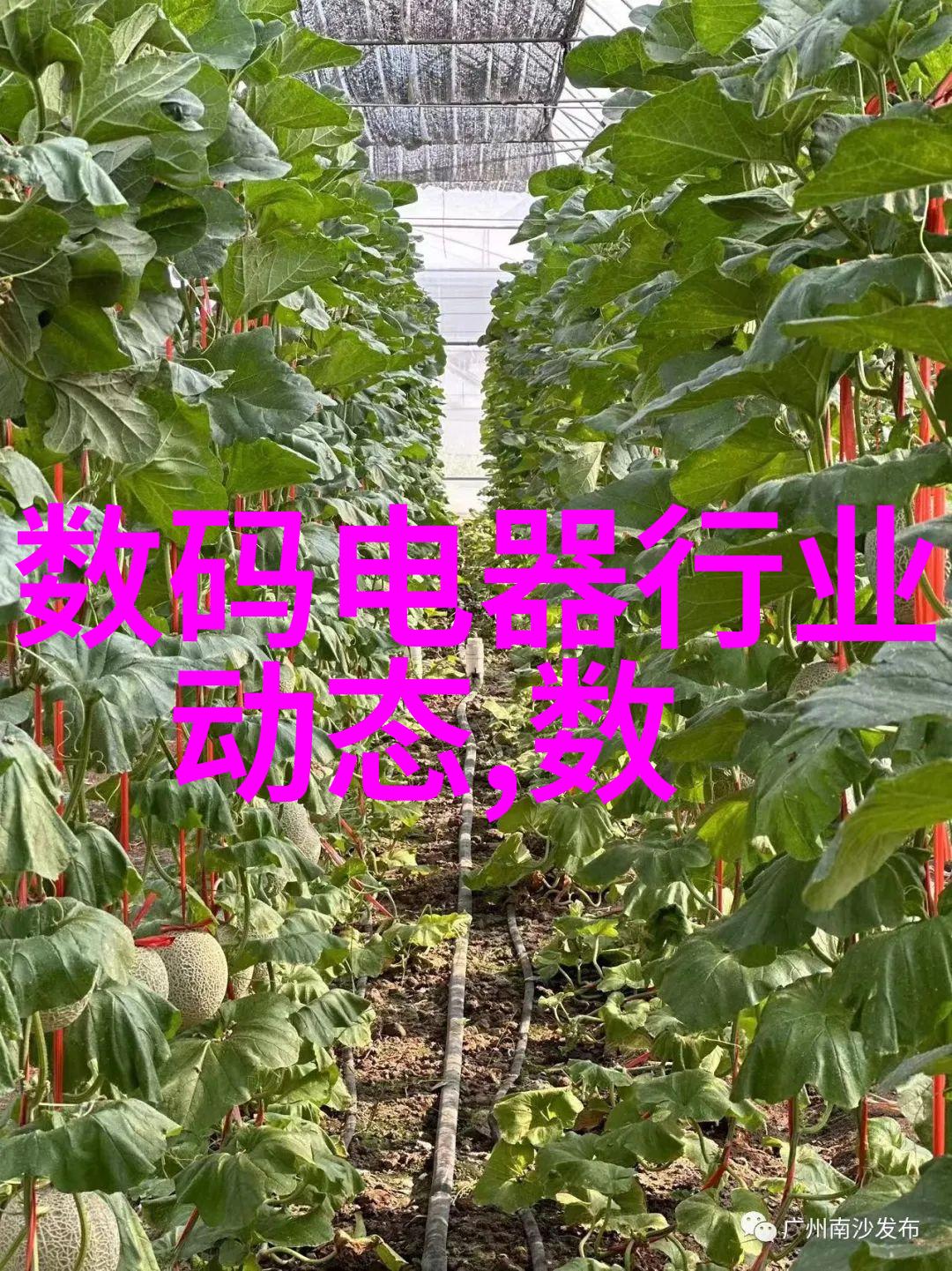 最近的不锈钢加工厂-精密铸造探索最近不锈钢加工厂的技术奇迹