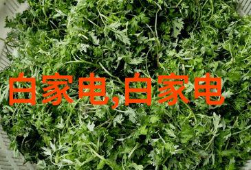 水质探秘解锁清澈源泉的秘密