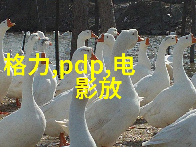 药品外包装机械-精密包装药品外包装机械的发展与应用概述