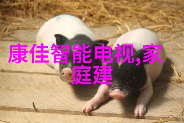 丝网规整填料国家标准研究提升材料密实度与应用效率的新纪元
