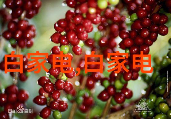 家电更新换代废旧设备不再是垃圾