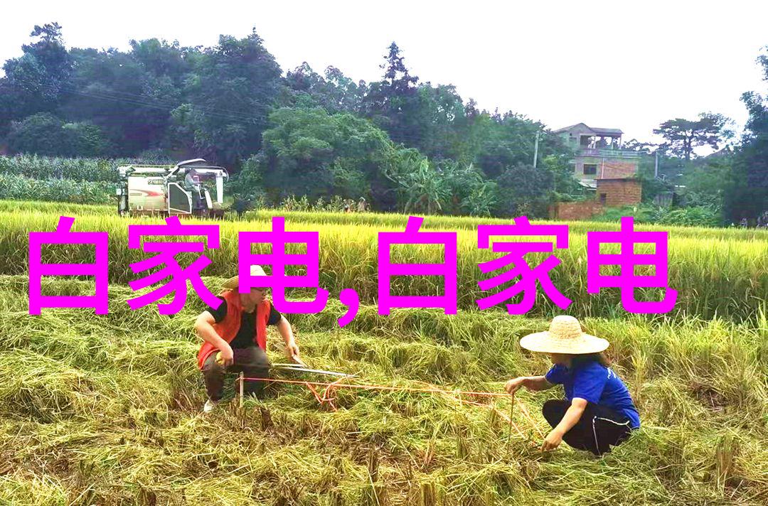 数字 PCR未来诊断领域的一大突破