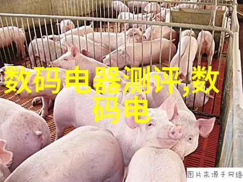 人间至味是清欢小说品味生活的艺术