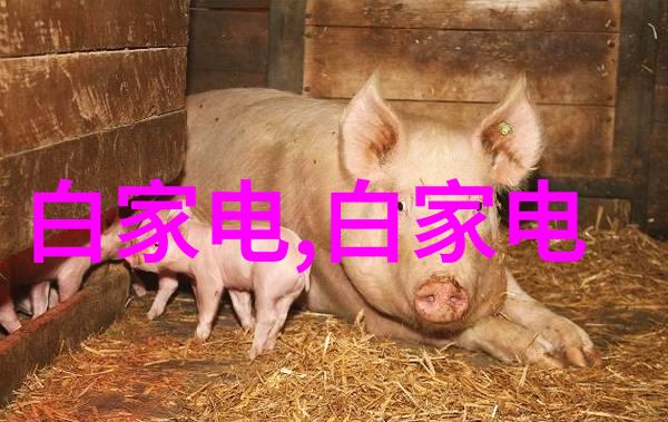 华为新旗舰芯片登场麒麟9010时代来临