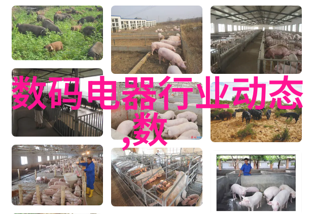 探秘250年历史的填料从古代到现代