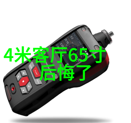 家居装修灵感一进门就是客厅美观设计图片客厅装修风格家居装饰图片室内设计理念