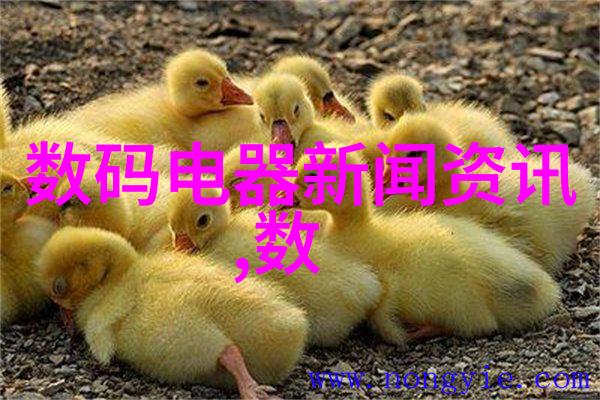 主题我亲眼见证了这些芯片巨头的豪迈支持
