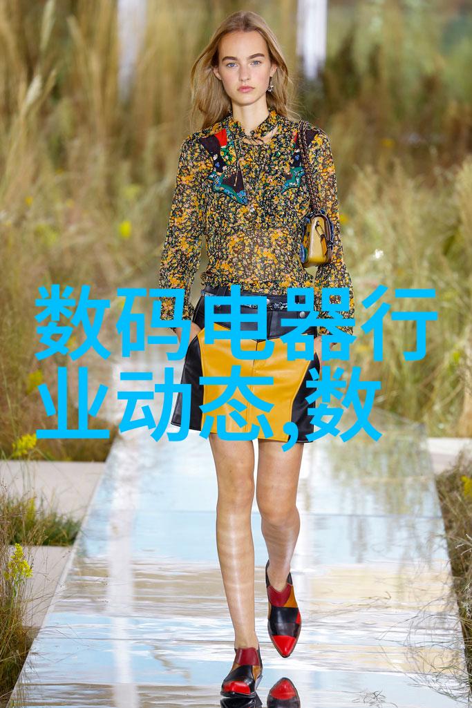 航空航天领域的数字通讯系统革新DCS技术如何提升飞行安全与效率