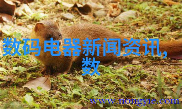 球墨铸铁管坚韧不拔的工业管道选择