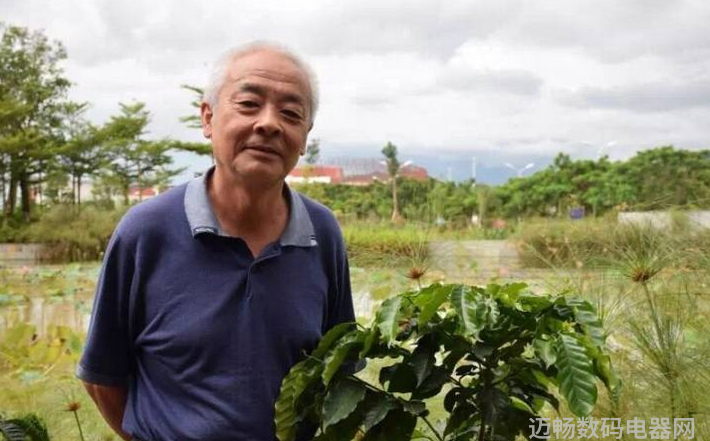 秦市繁华：探索古代丝绸之路的商贸传奇